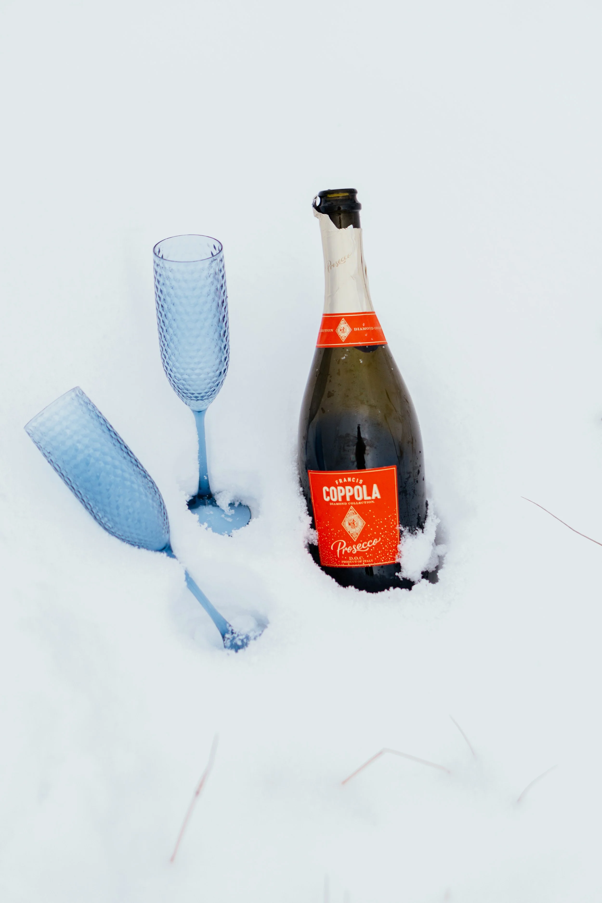 Gela and TJ - Elopement - 80.jpg