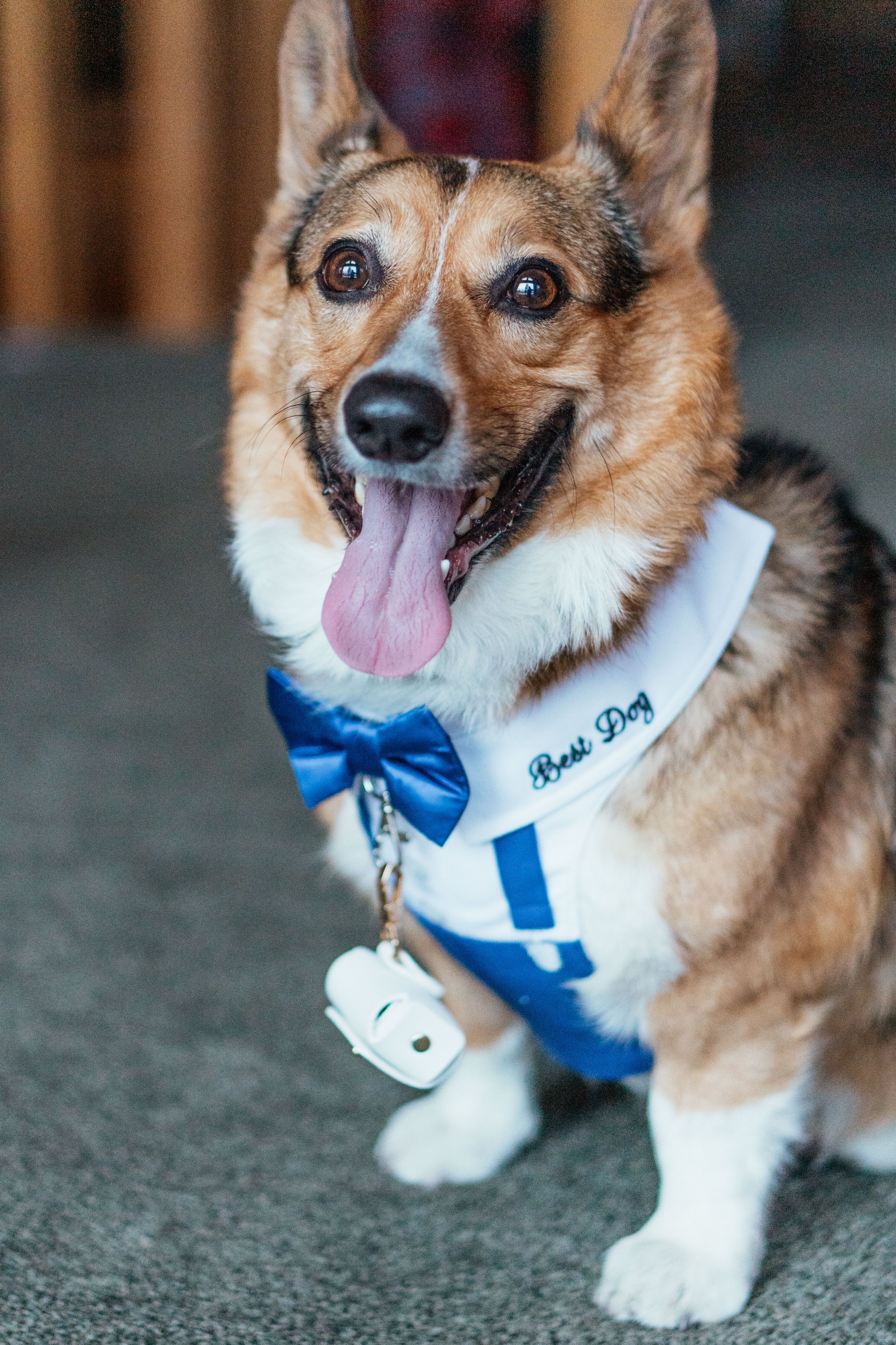 Gela and TJ - Elopement - 67.jpg