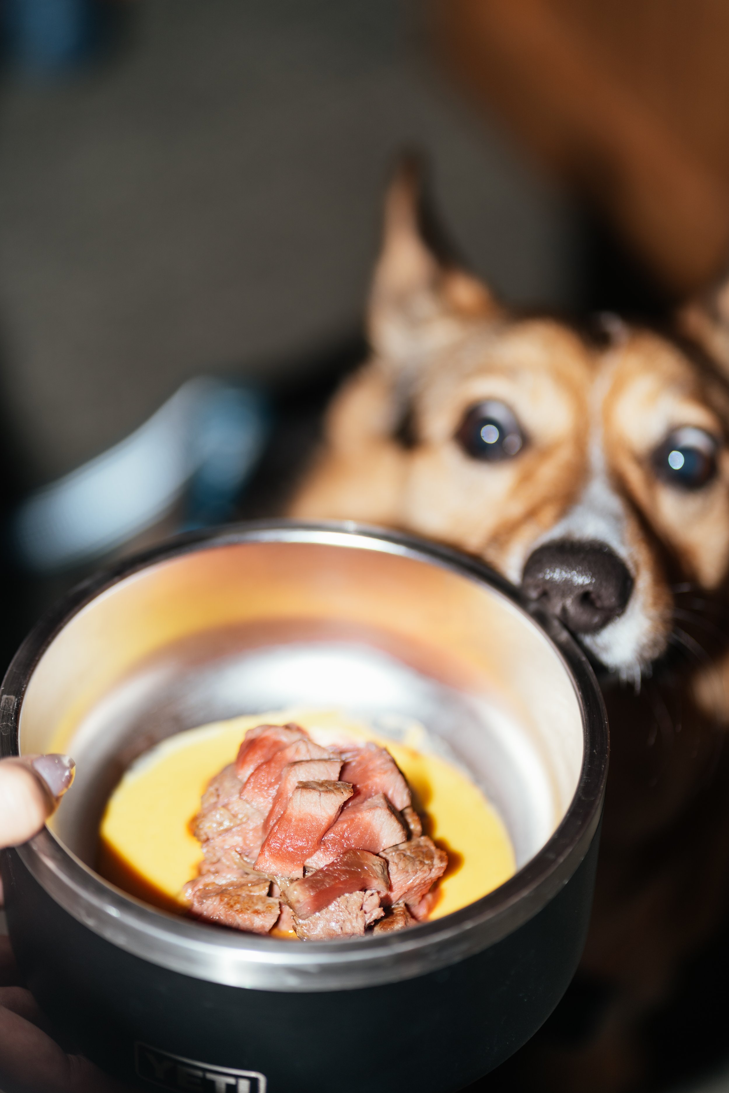 Gela and TJ - Elopement - 193.jpg