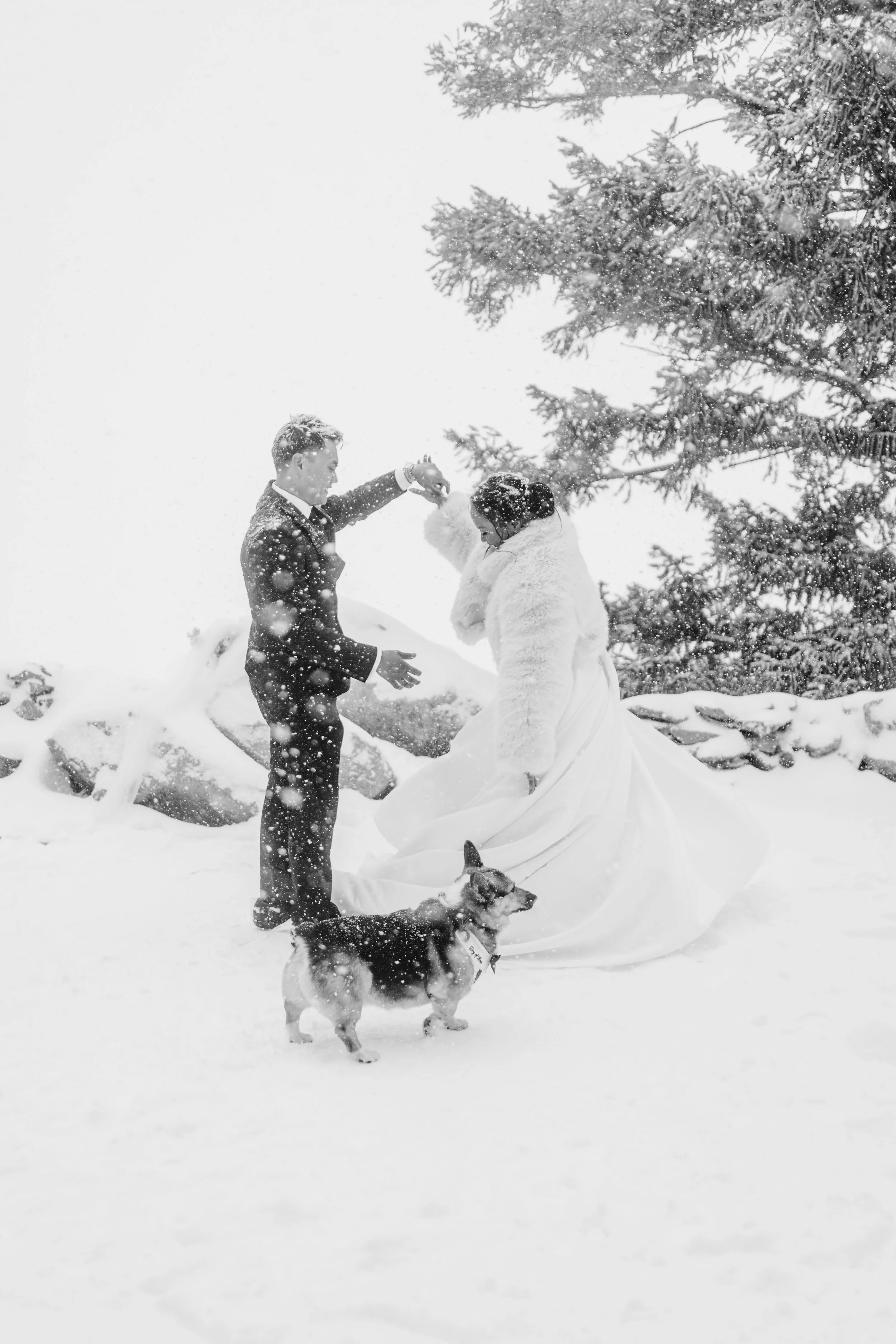 Gela and TJ - Elopement - 118.jpg