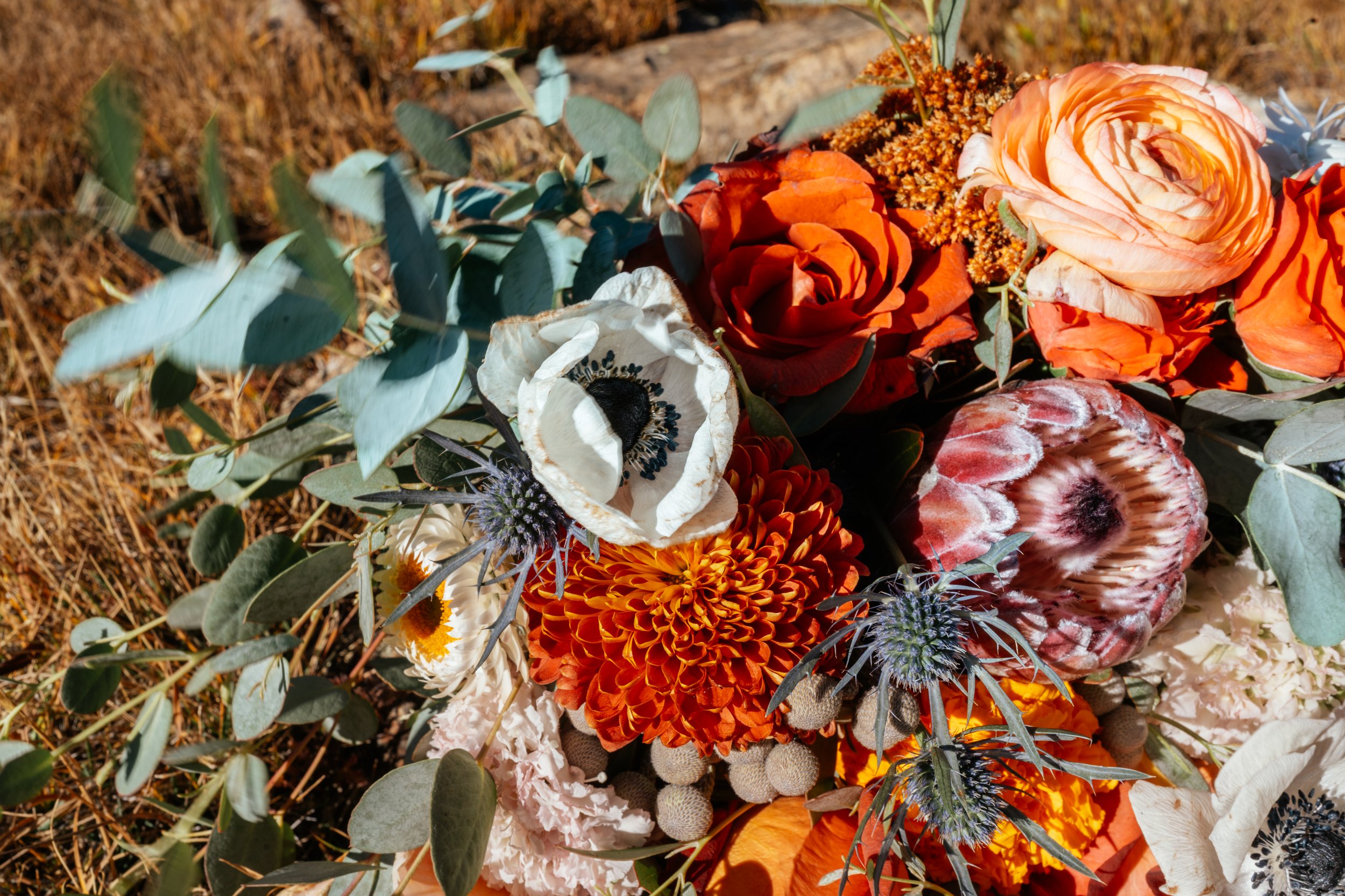 Jeneva and Leon - Indian Peaks - September 26 - Elopement 34.jpg