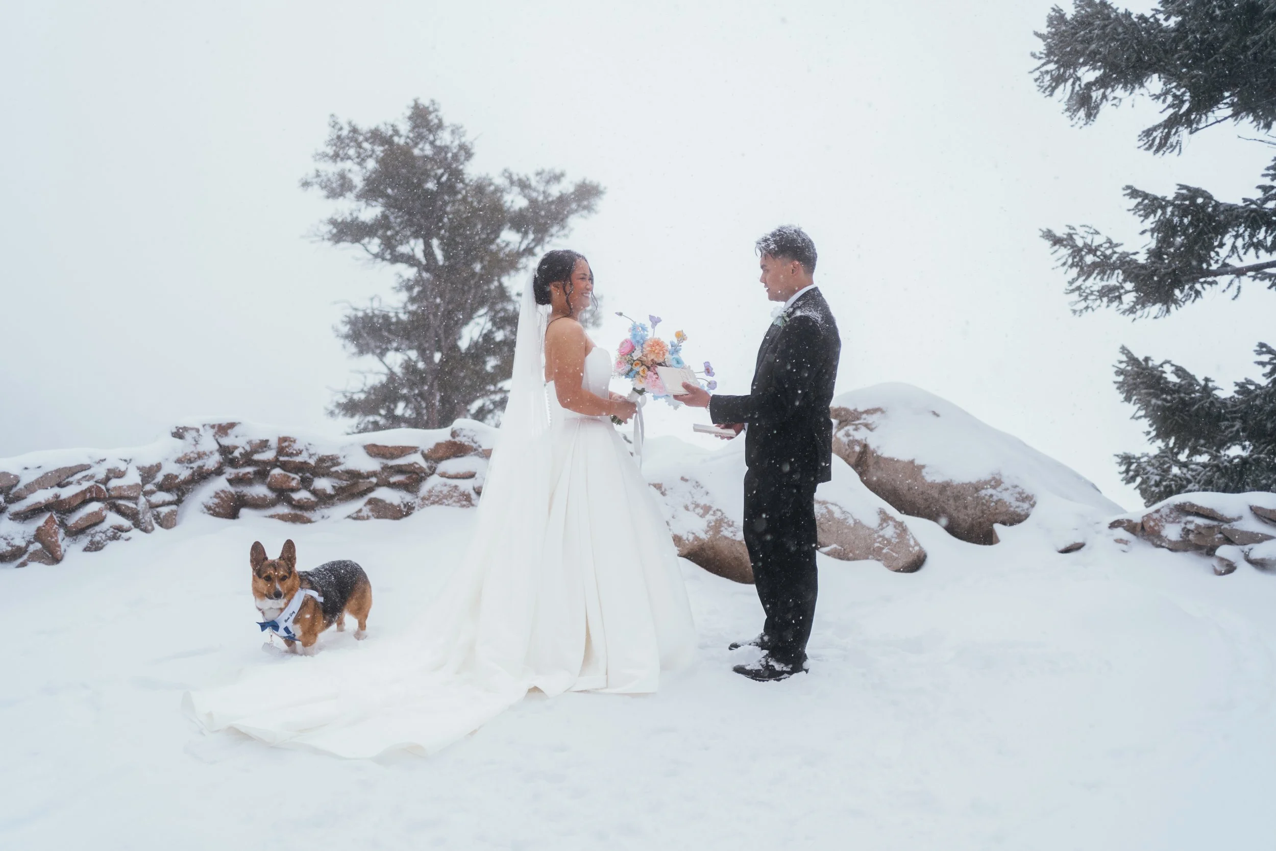 Gela and TJ - Elopement - 101.jpg