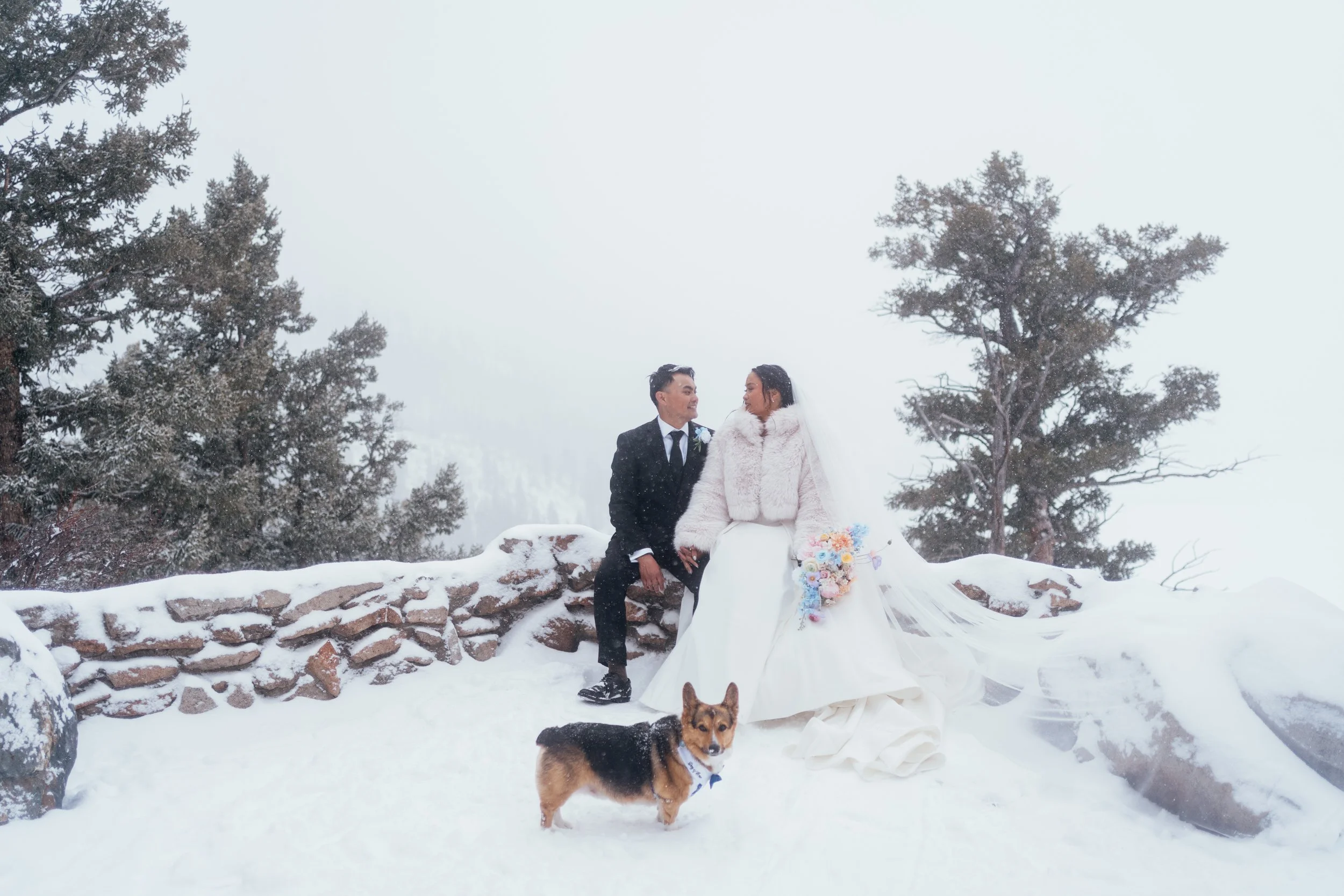 Gela and TJ - Elopement - 135.jpg