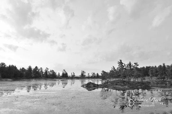 KillarneyLanscapes-RebeccaNashPhotography20150823DSC_3798280