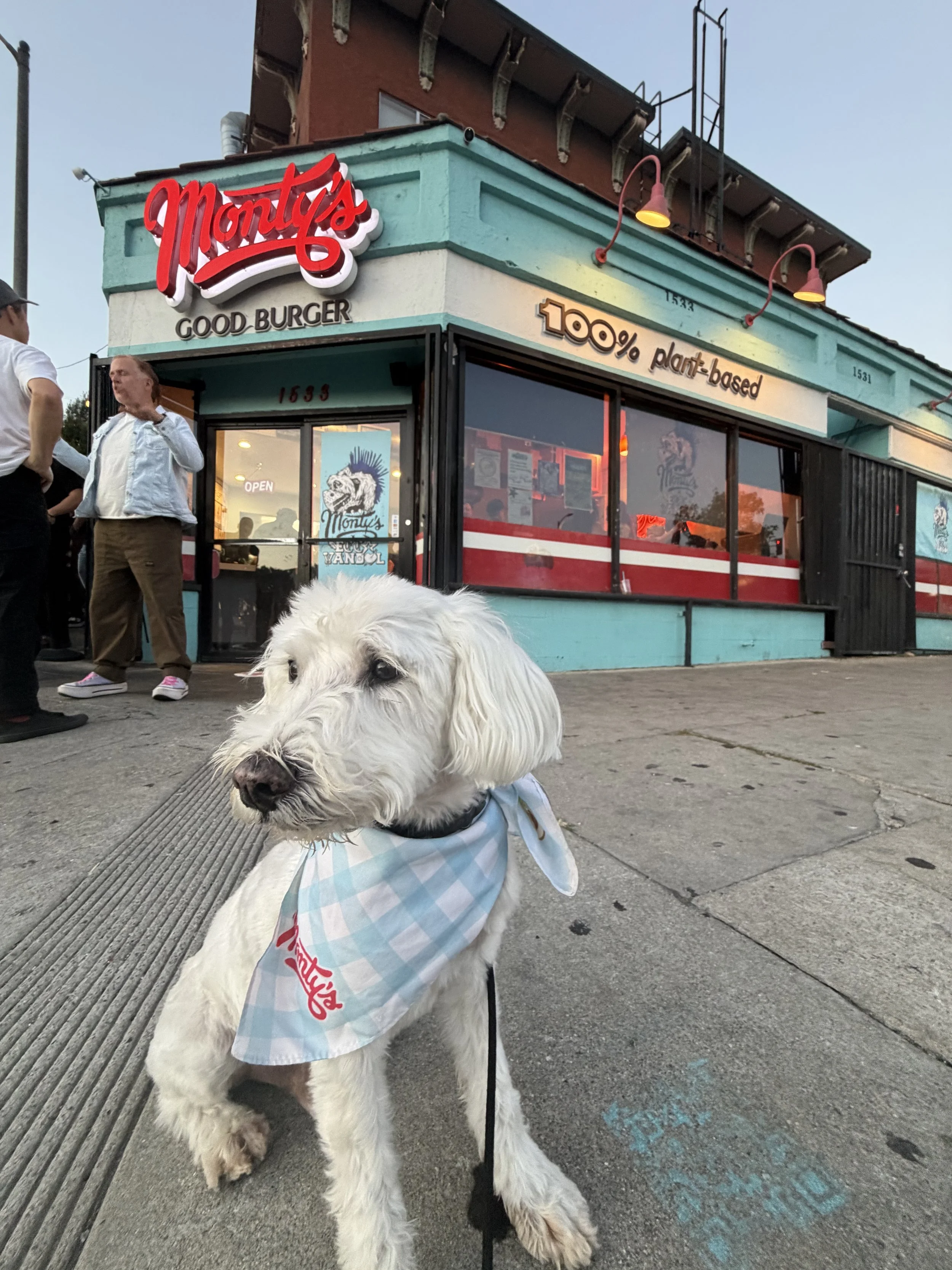 Monty's Best Day