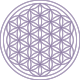 Flower of life.png