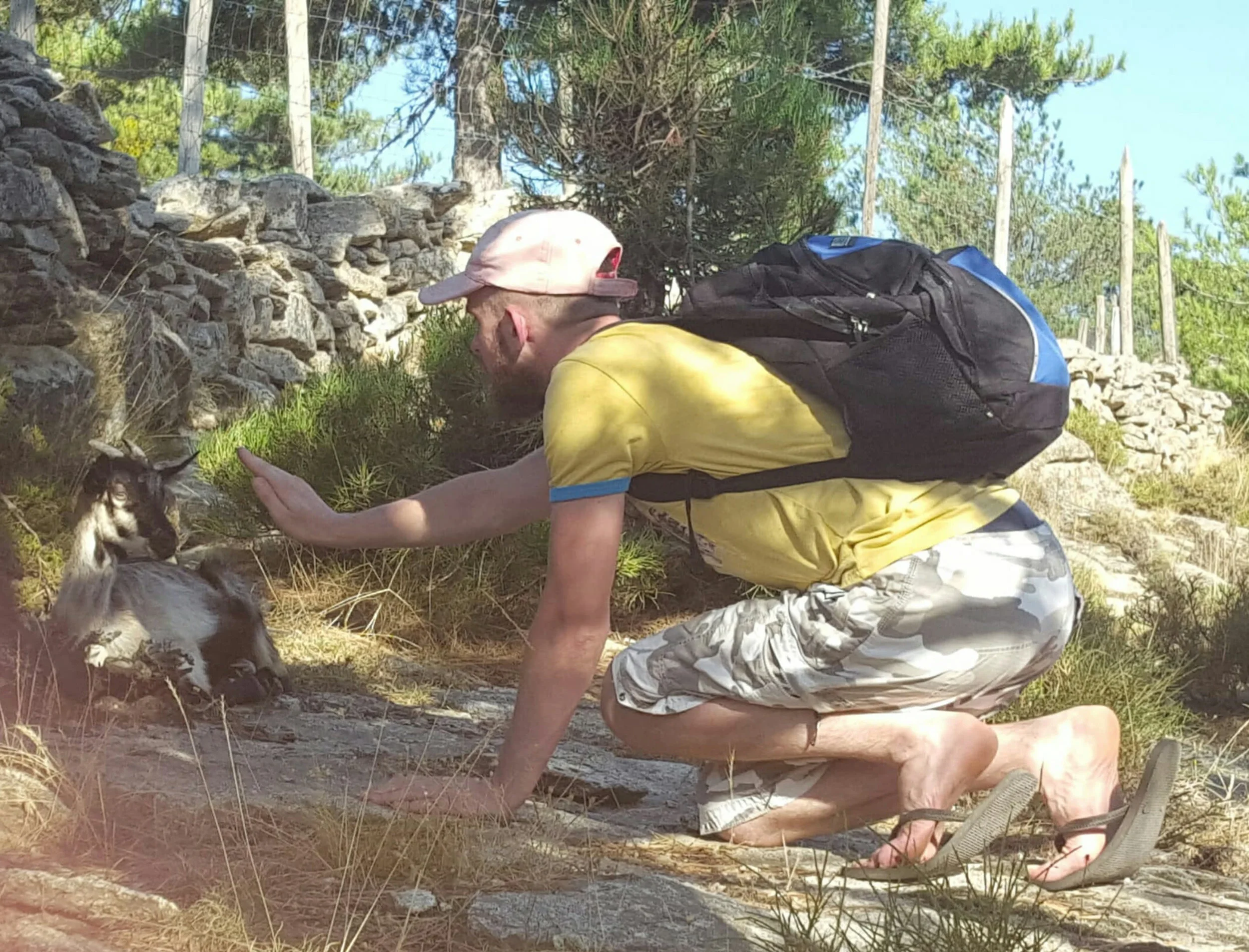 Mother Nature Loves Reiki