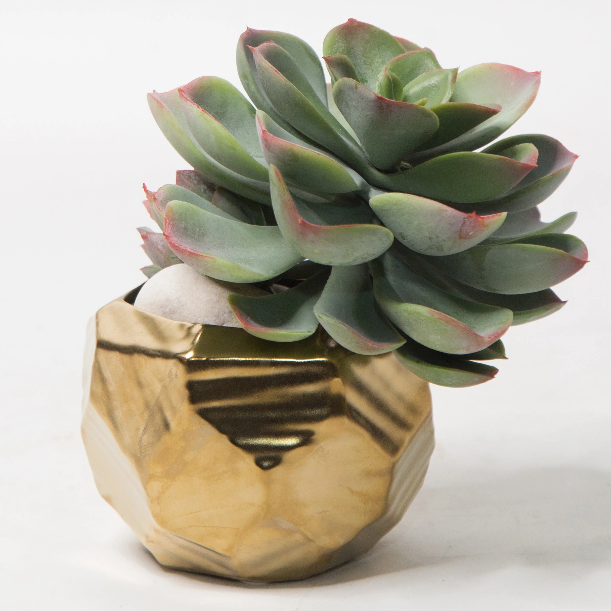 AC-SA016 GOLD CERAMIC VASE SUCCULENTS ARRANGEMENT