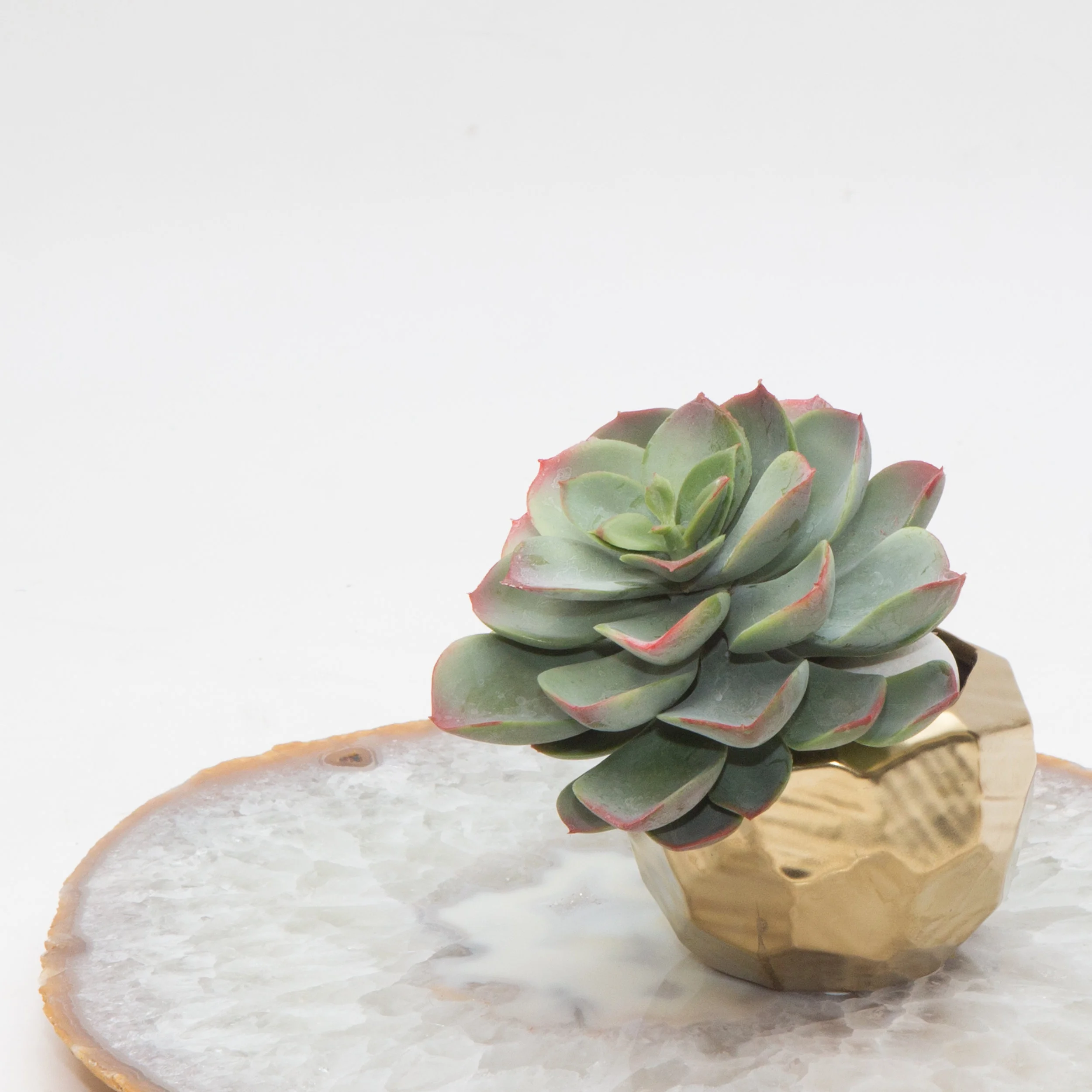 AC-SA016 GOLD CERAMIC VASE SUCCULENTS ARRANGEMENT