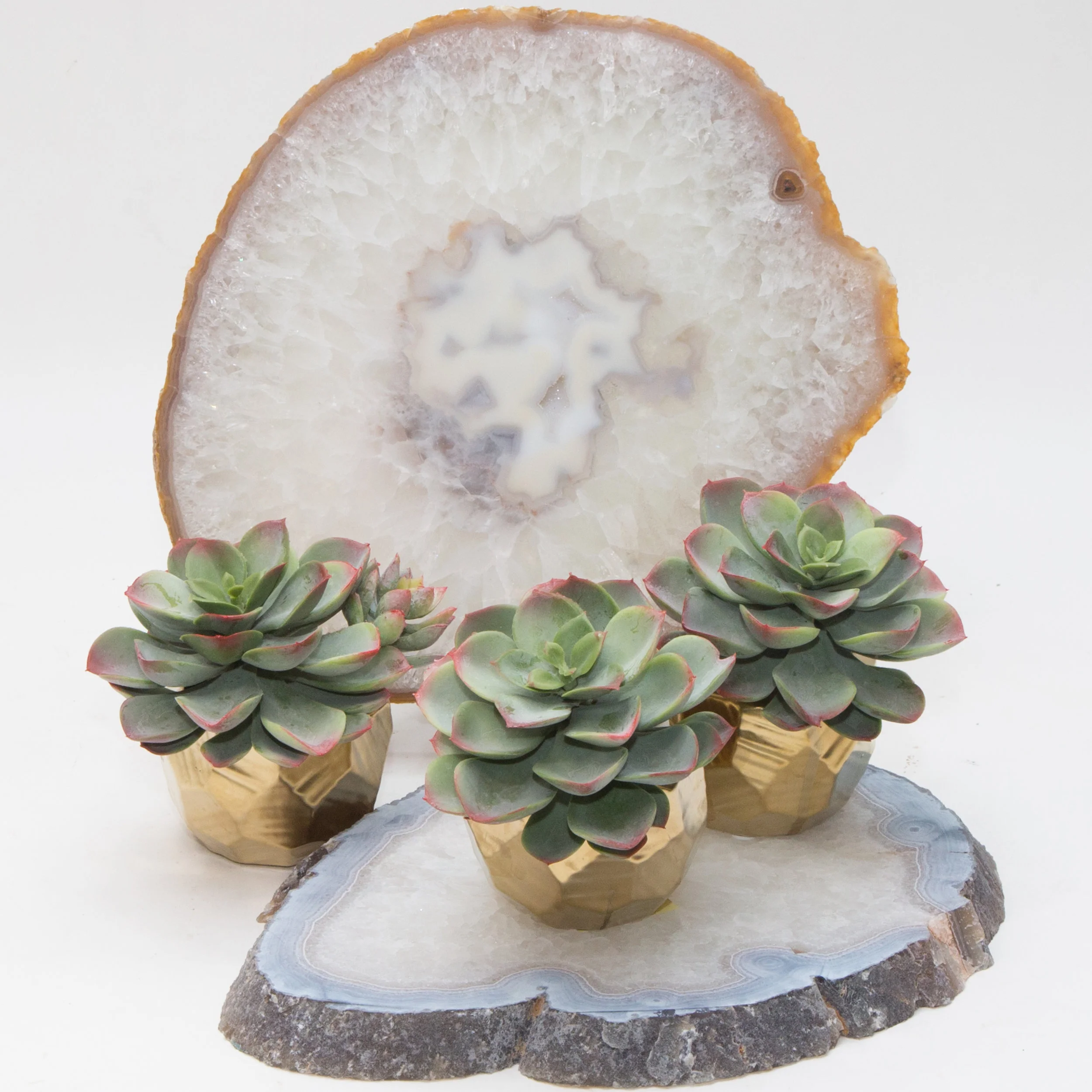 AC-SA016 GOLD CERAMIC VASE SUCCULENTS ARRANGEMENT
