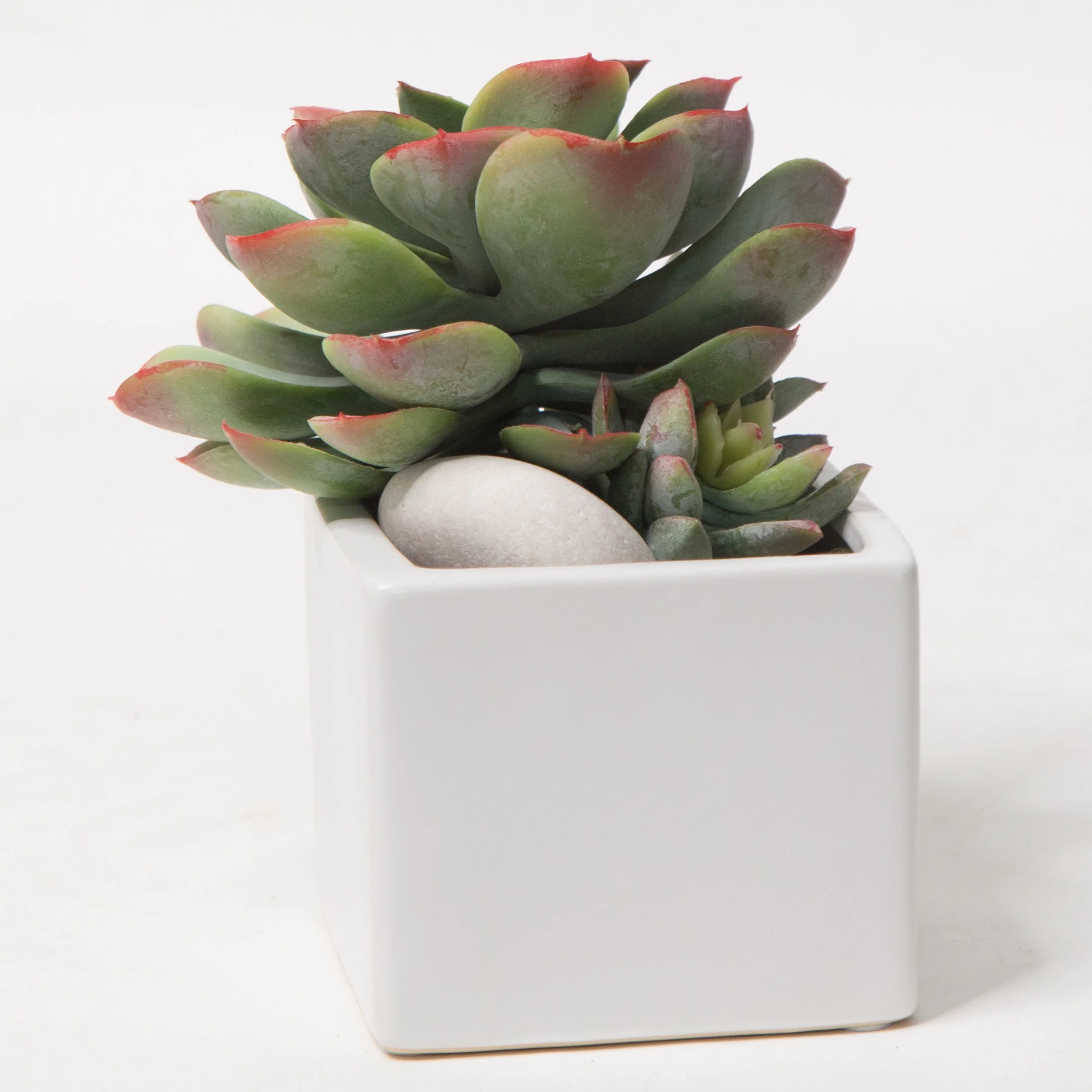 AC-SA017 WHITE CERAMIC VASE SUCCULENTS ARRANGEMENT