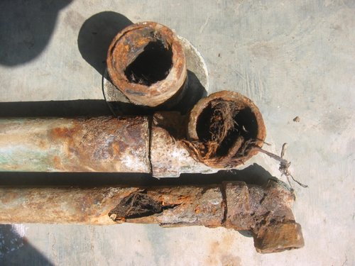 roots+in+gal+waste.jpg