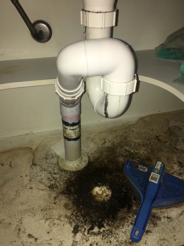 Mould from a leaking waste pipe