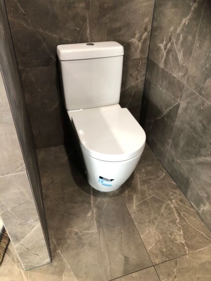 Ormeau Plumber toilet