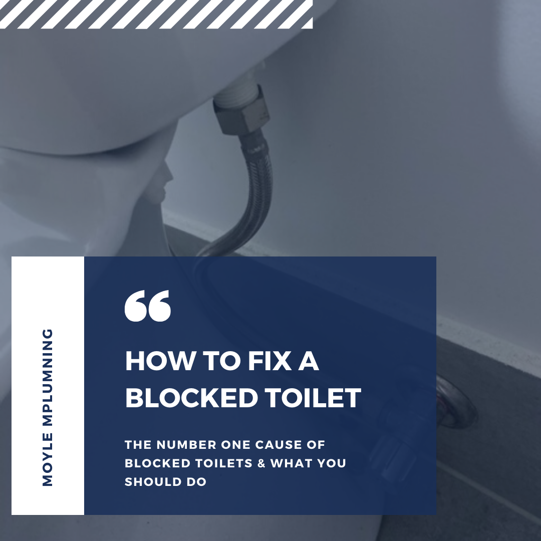 Reasons to hire a professional to install your toilet