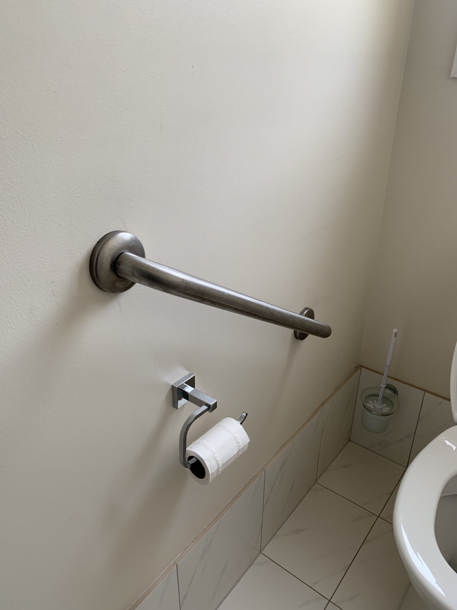 grab rail toilet.jpg