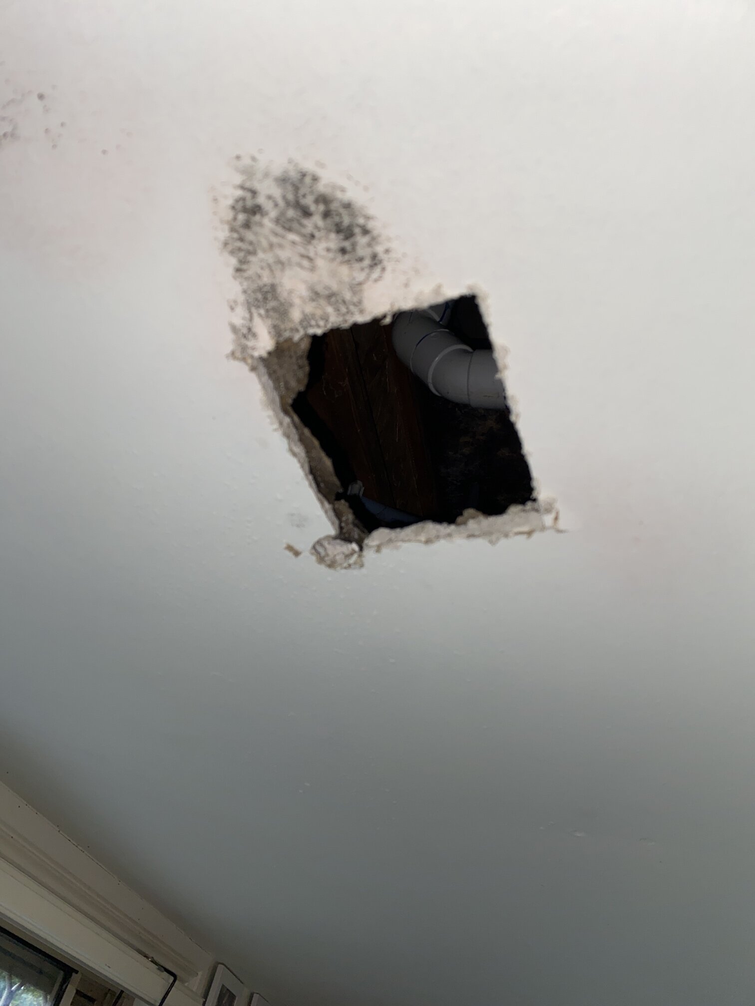 damaged ceiling.jpg
