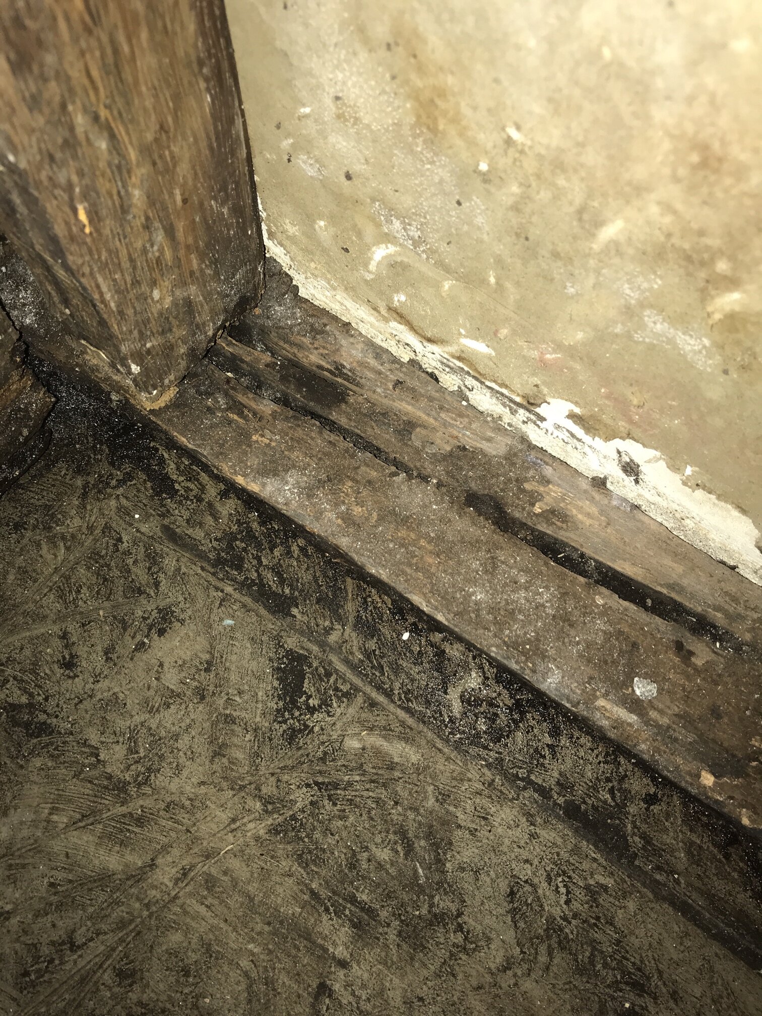 damage to timber behind shower wall.jpg
