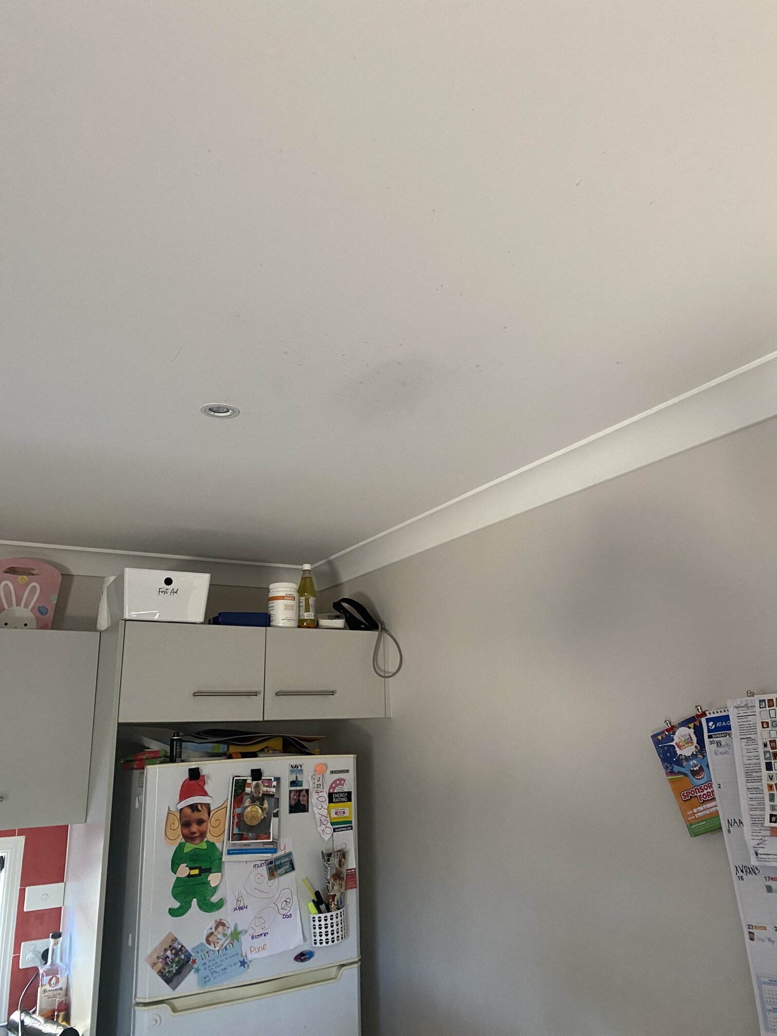 leak in ceiling from shower.jpg