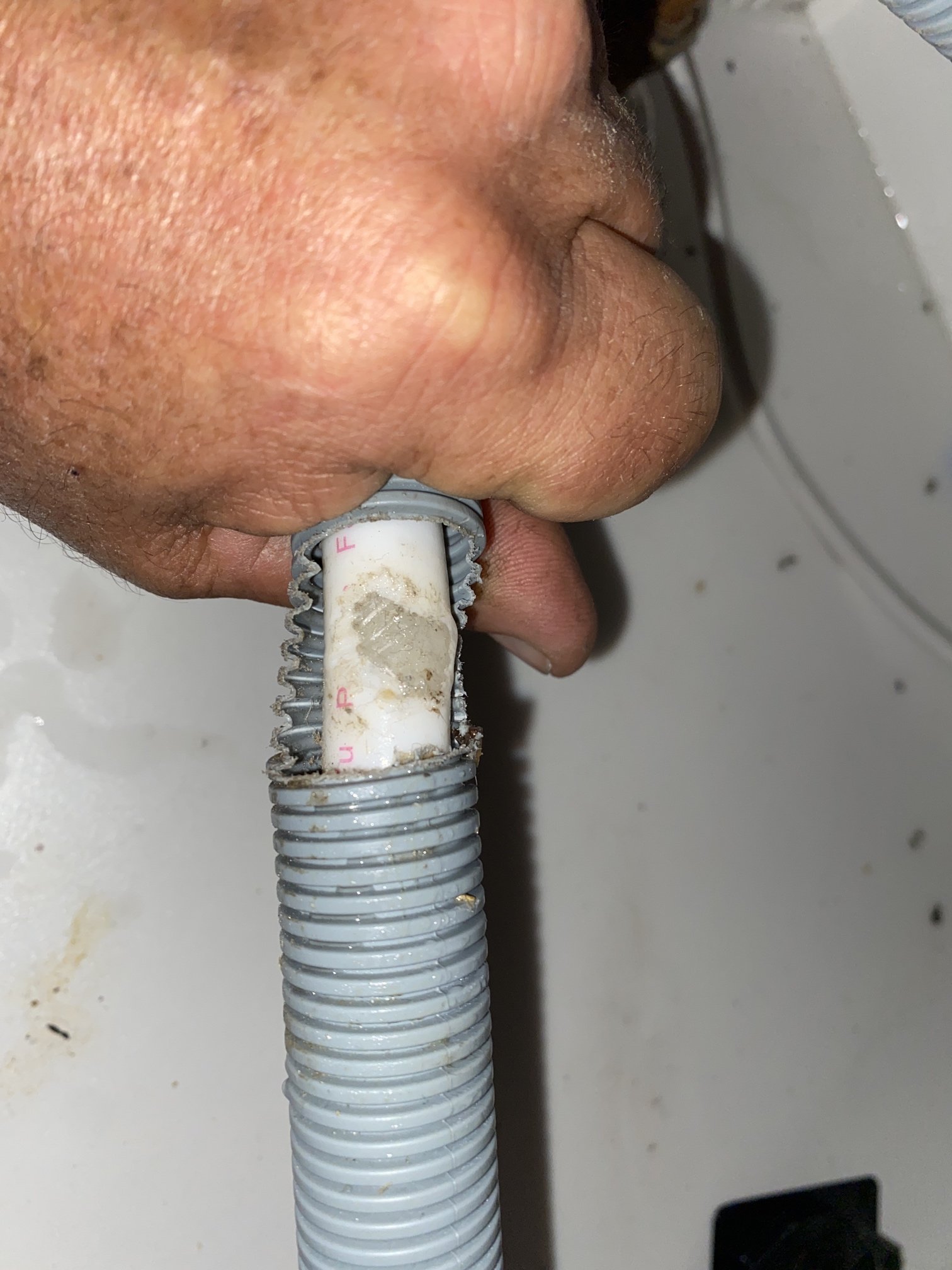 dishwasher hose leak.jpg