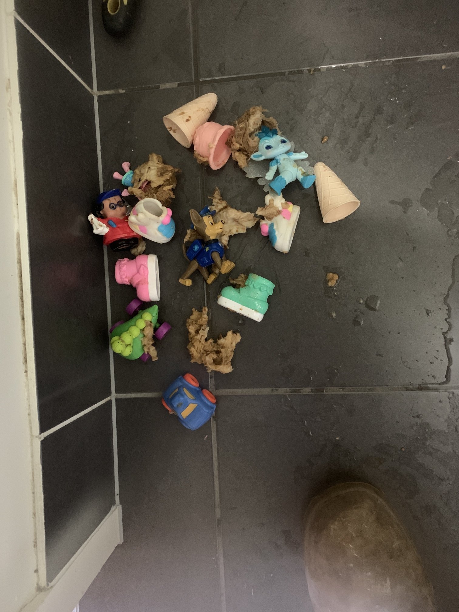 toys in toilet2.jpg