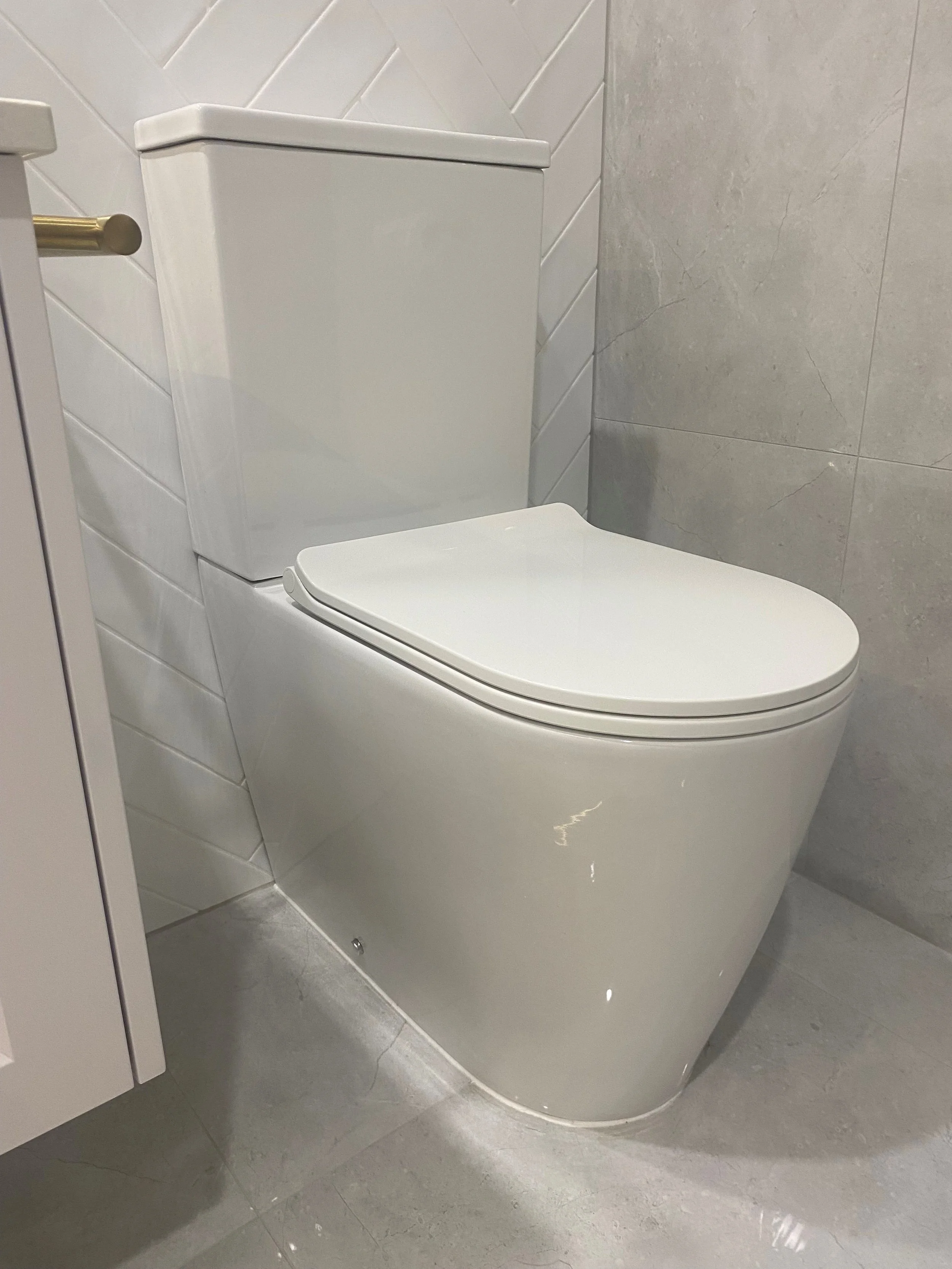 Modern new toilet 2.jpg