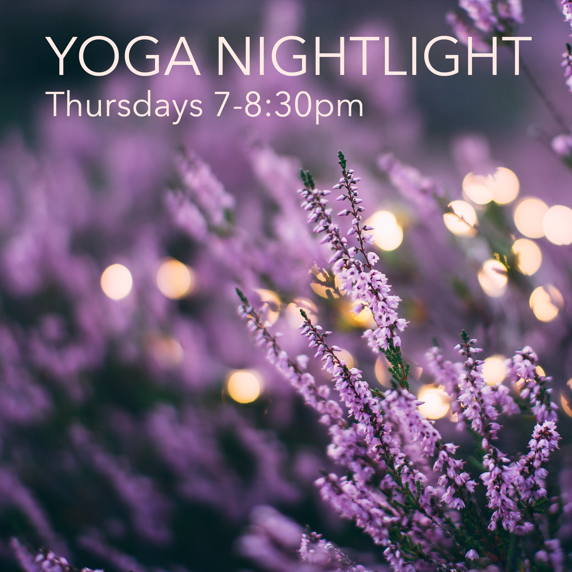 YogaNightlight2019.png