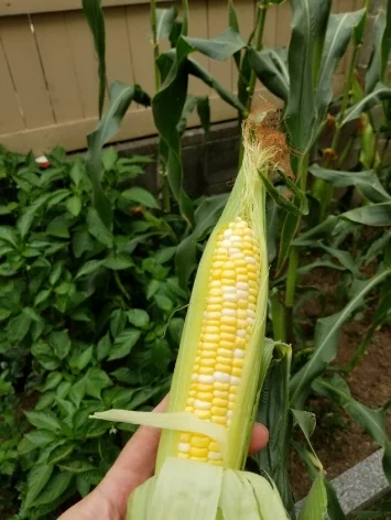 20180818_164310.jpg