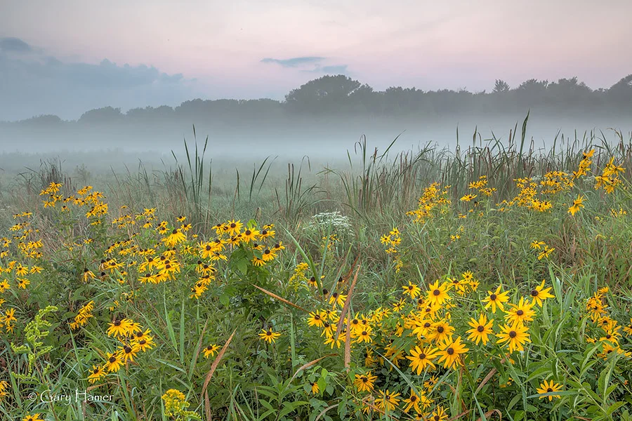 SpringtimeInMaquoketa.jpg