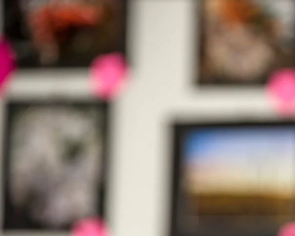 exhibitcrop.jpg