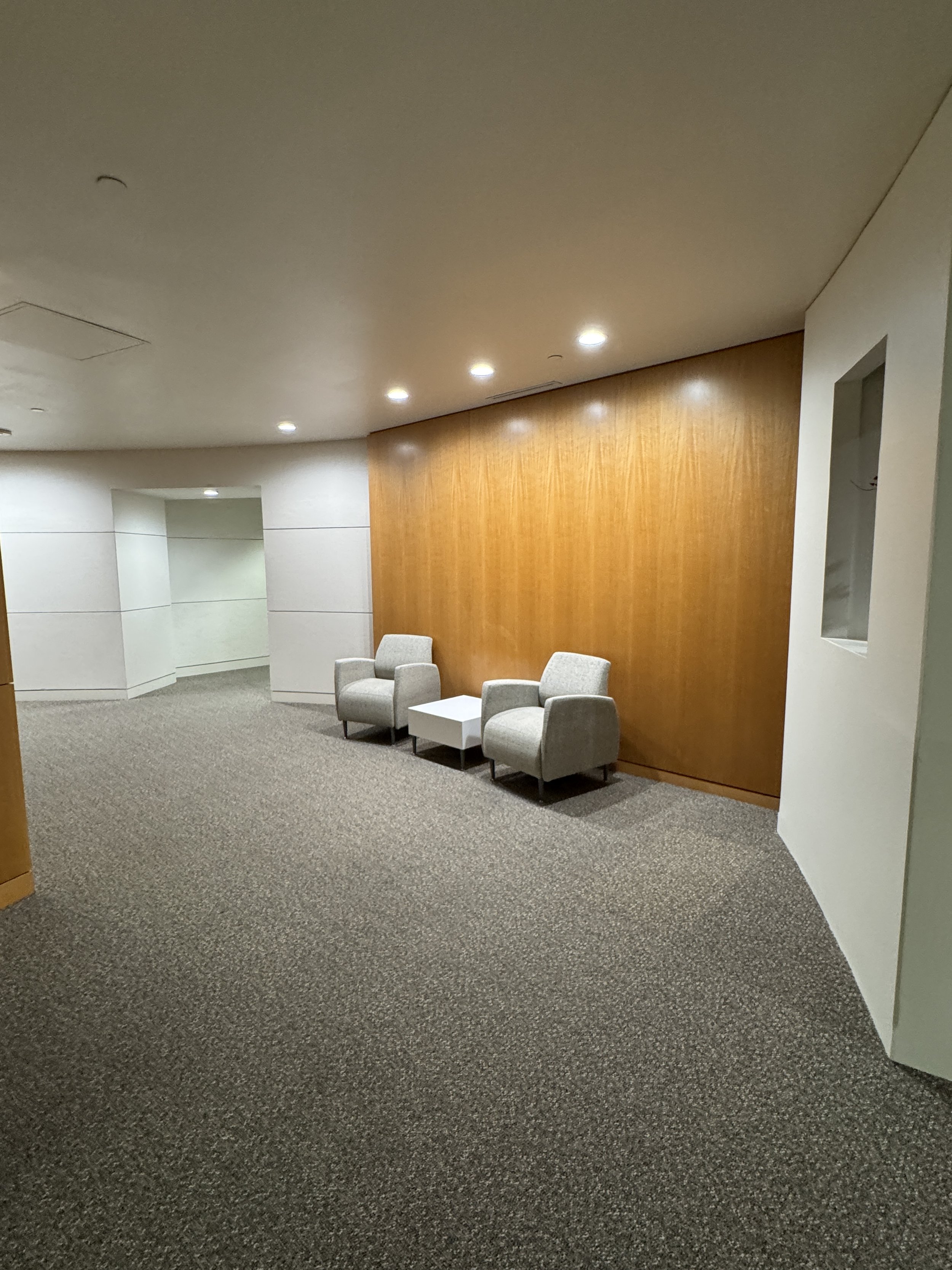 Wall I (13'2" x 9'H) (Left & Right Wood Walls)