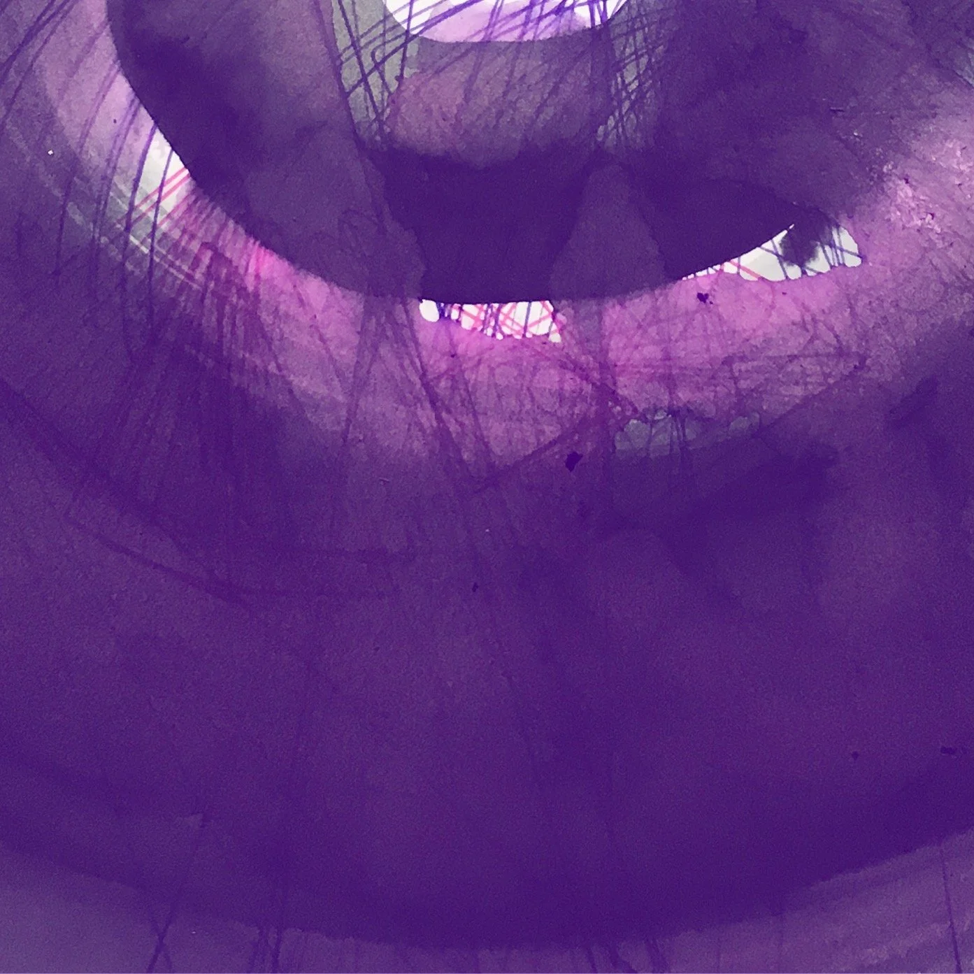 47A44879-00EB-4855-A7D0-16DA062D4D9A.jpeg