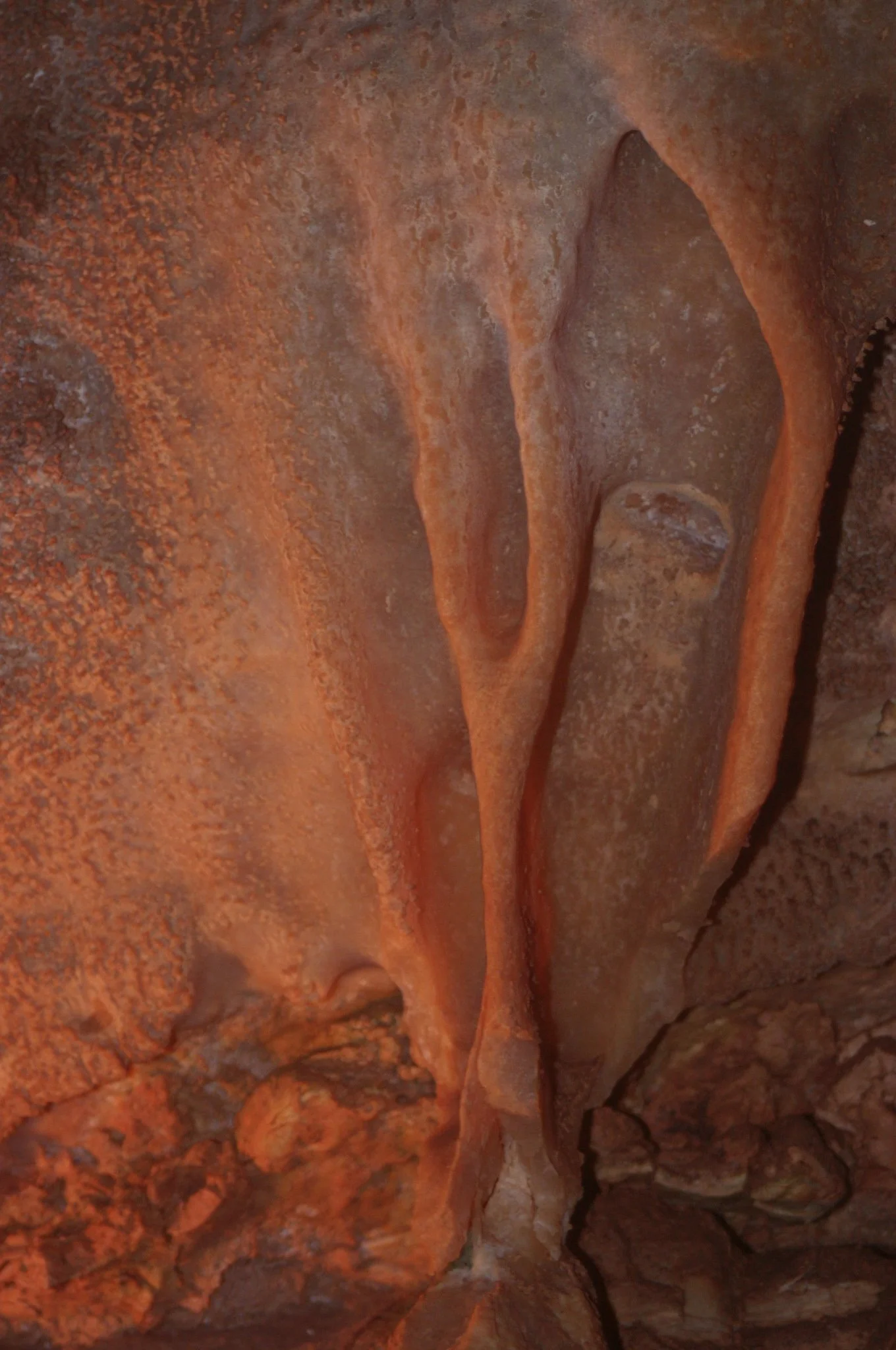   Digital Single-Lens reflex photograph&nbsp;  