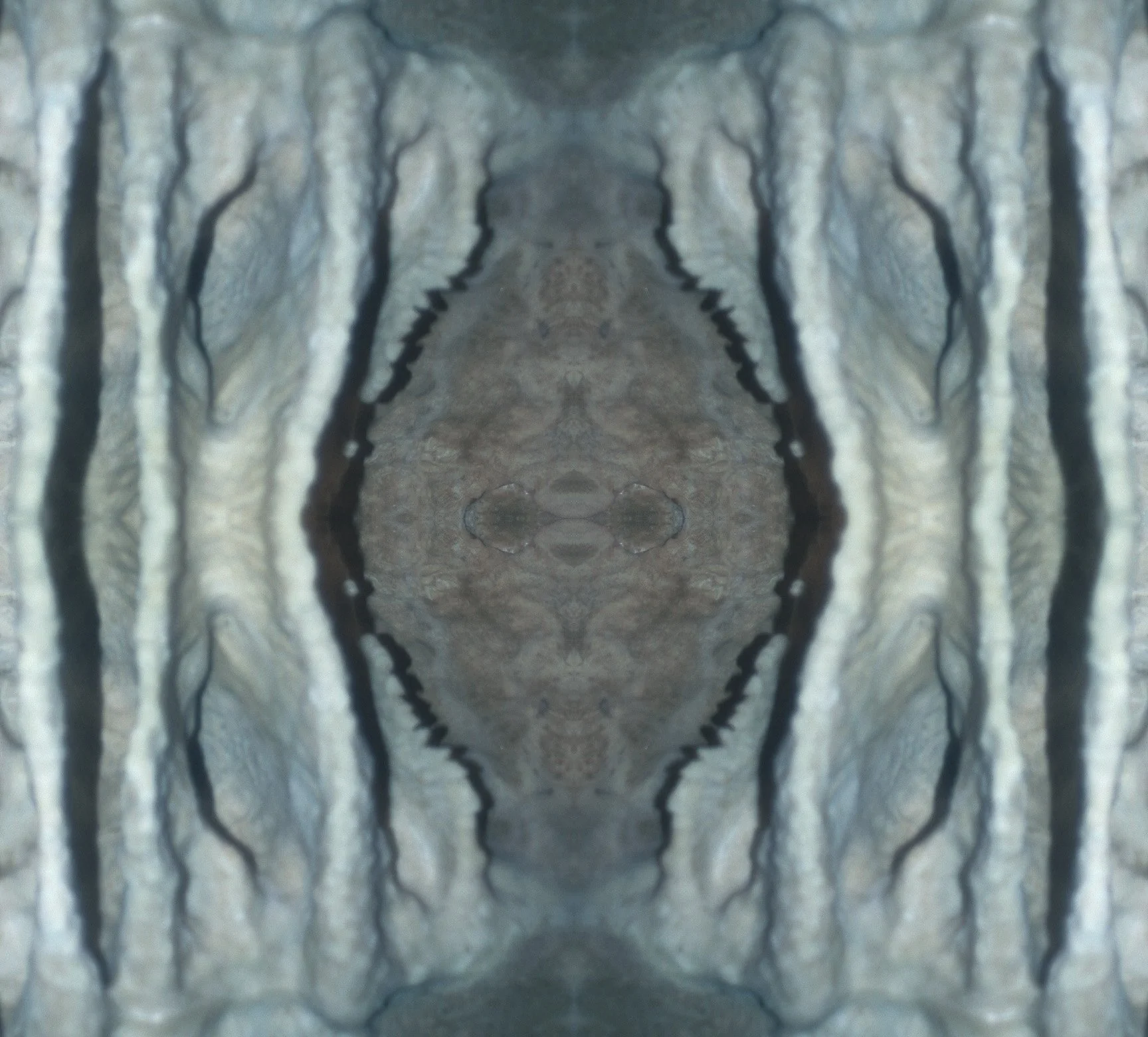   Digital Single-Lens reflex photograph- 2010  