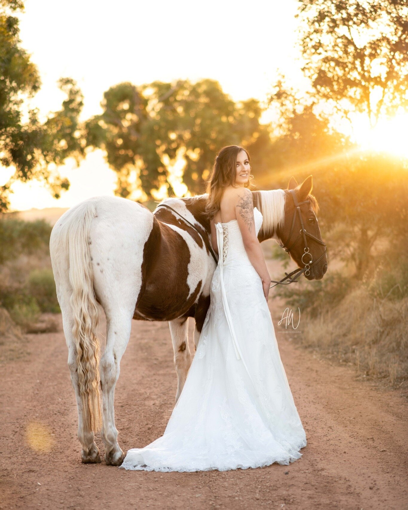 An incredibly special sneak peak for Veronica, of her 26 yo mare Cheyanne, from their session on Sunday.
⁣
Where to begin. This was a very special session indeed. In ode to this gorgeous mares life and accomplishments, we set out to capture some trul