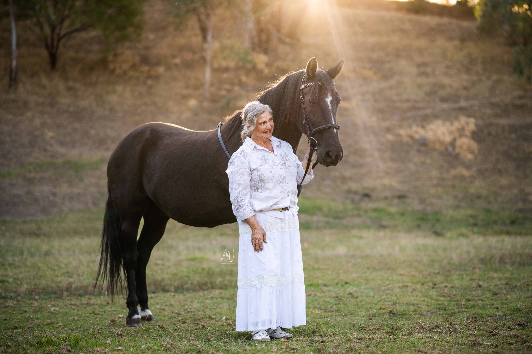 A gorgeous sneak peak for Sylvia, of her 22yo Brumby/Percheron cross gelding Sidchrome Toolbox.
⁣
Aaron and I had the pleasure of meeting Sylvia and Sid on Wednesday evening. We had a wonderful evening with just the most perfect light and captured th