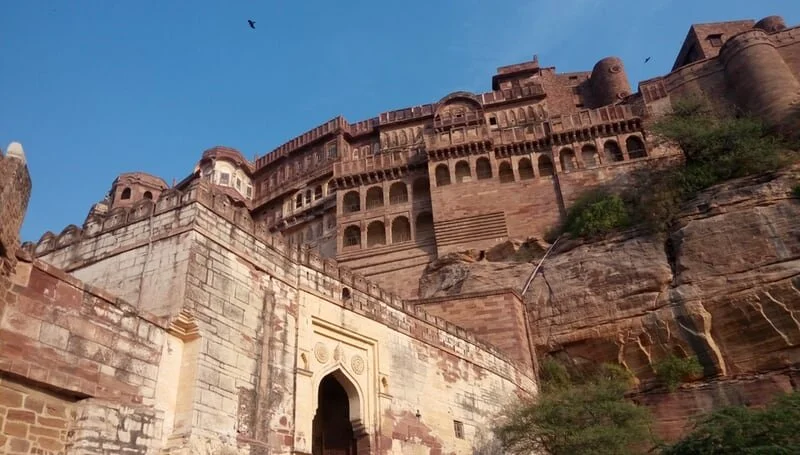 The Count's Quarantine