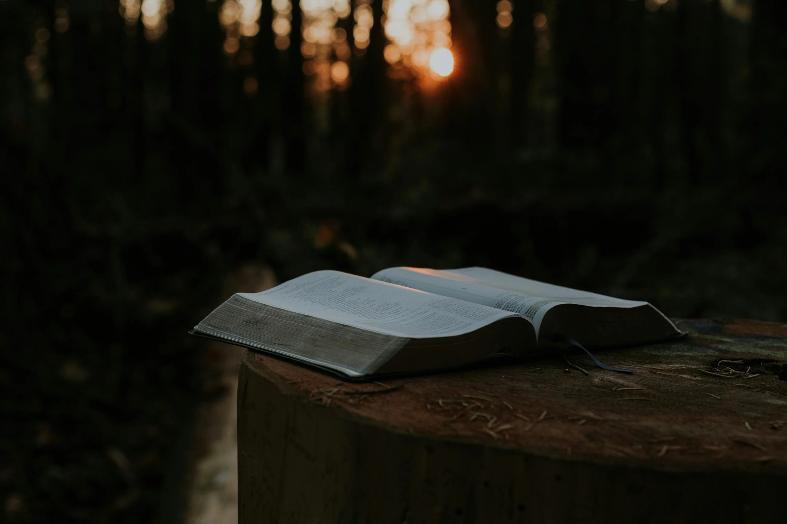 Biblical Fiction: 3 Myths, 1 Warning, and 3 Reasons to Give it a Chance