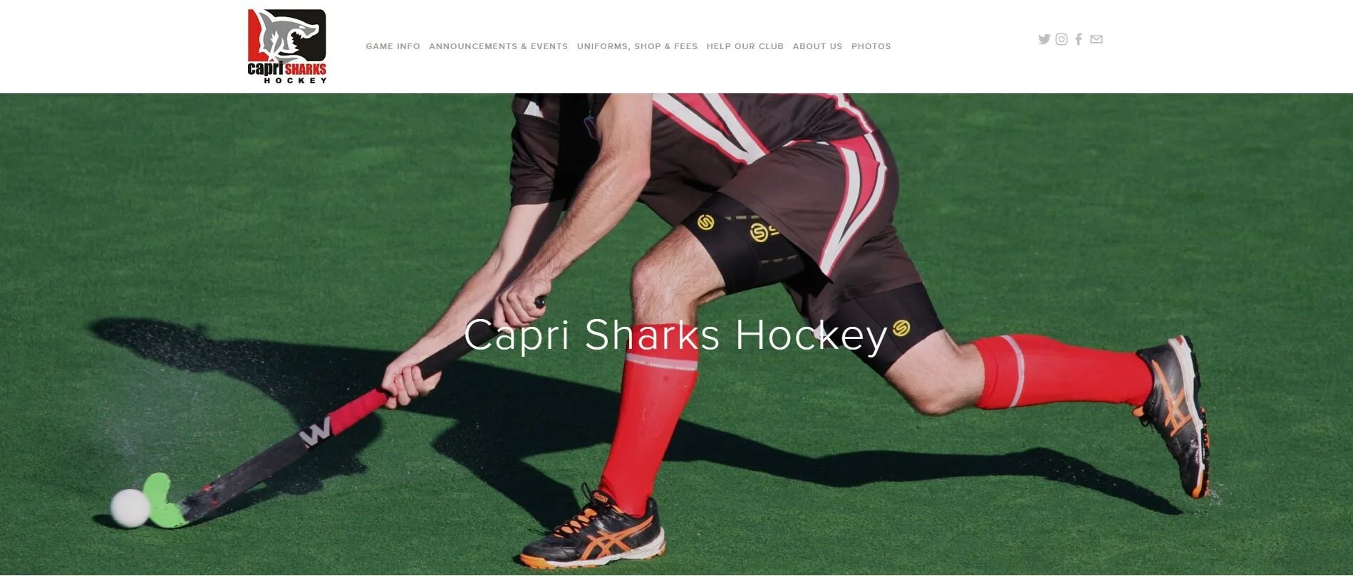   Capri Sharks Hockey Club  