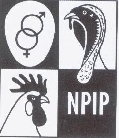 npip.jpg