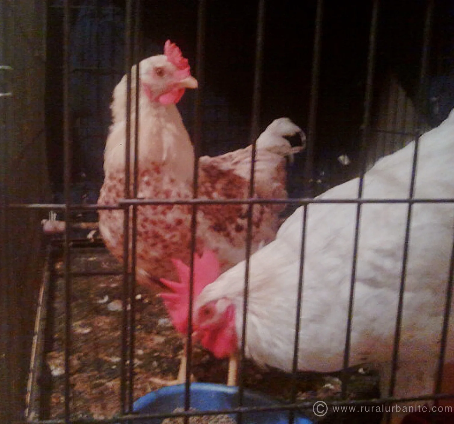 Stop Taking Photos of Us!