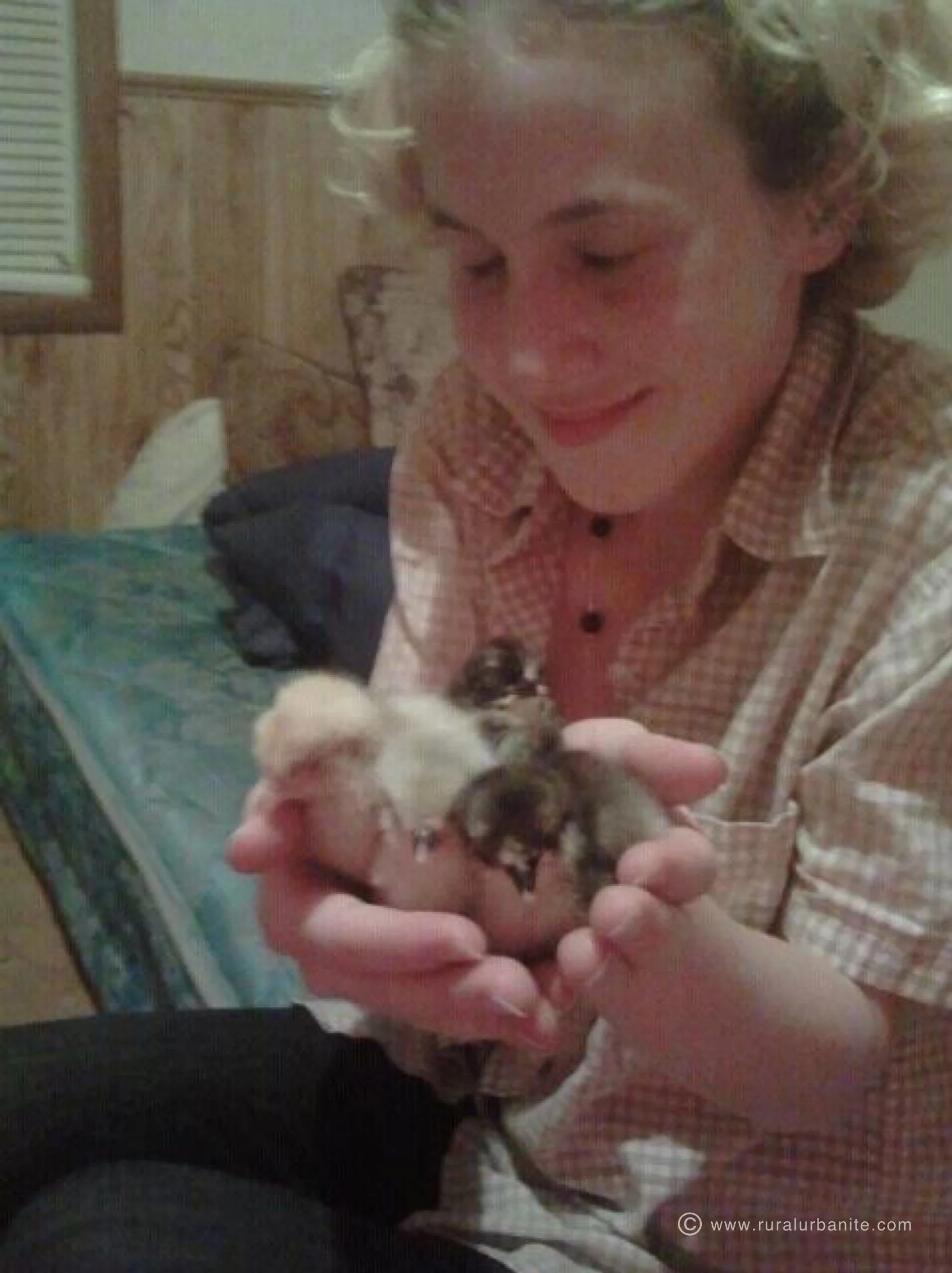 Look At The Sweetest Fuzzies!!