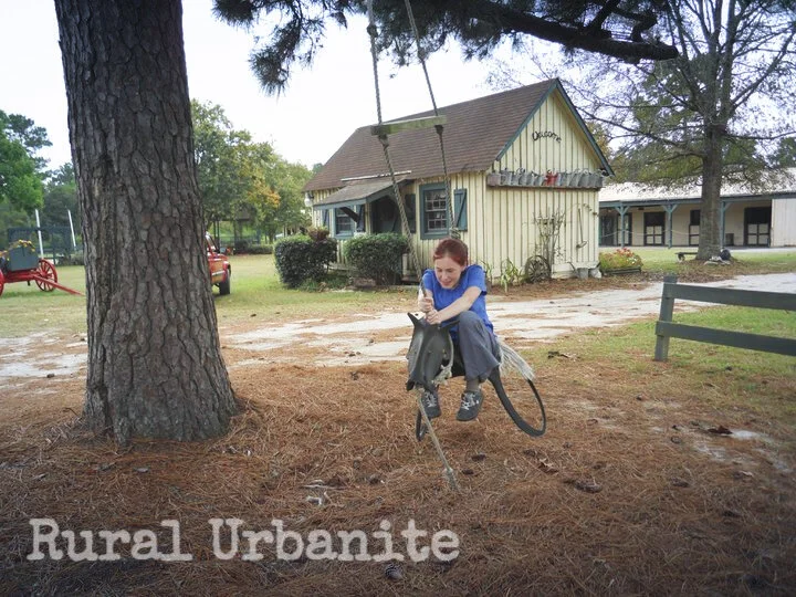 Vet Tech On A Stallion!