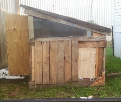 Our Very First Coop-PALLET COOP!