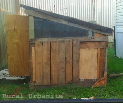 Our Very First Coop-PALLET COOP!