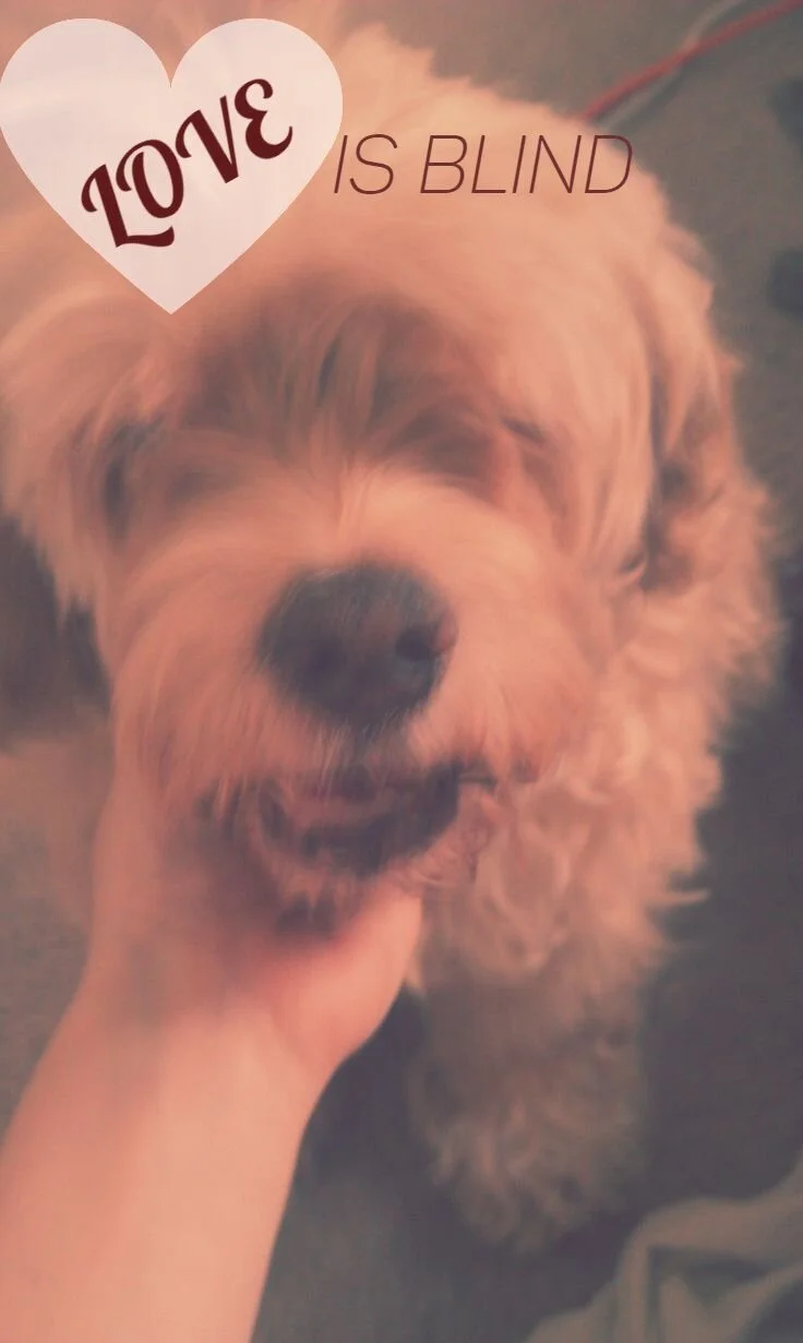 Love Is Blind : Casey Valentine