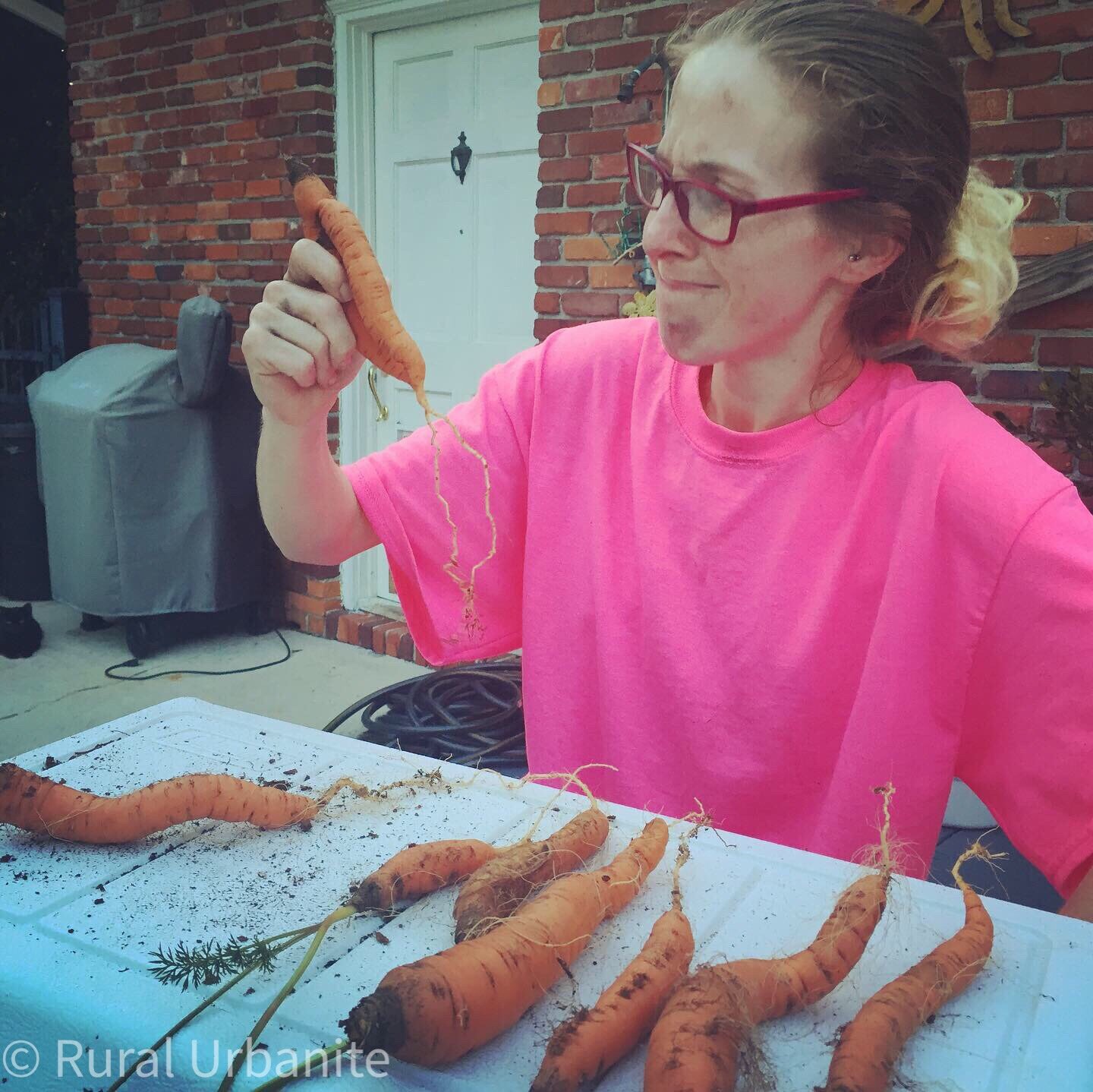 Inspecting Harvest | Project Expired Carrot Seeds = SUCCESS!!