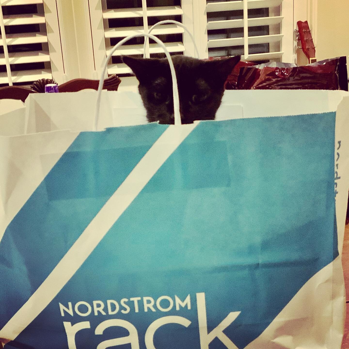 my aunt brought home the best thing you can get at Nordstrom Rack 
😸😽🐈&zwj;⬛❤️
.
.
.
.
#puppeythekitty #puppeyfriday #ruralurbanite #blackcatsofinstagram #blackcat #blackcatsrule #catslove #catlove #catlife #catmom #cutecat #igcats #catsofig #cats