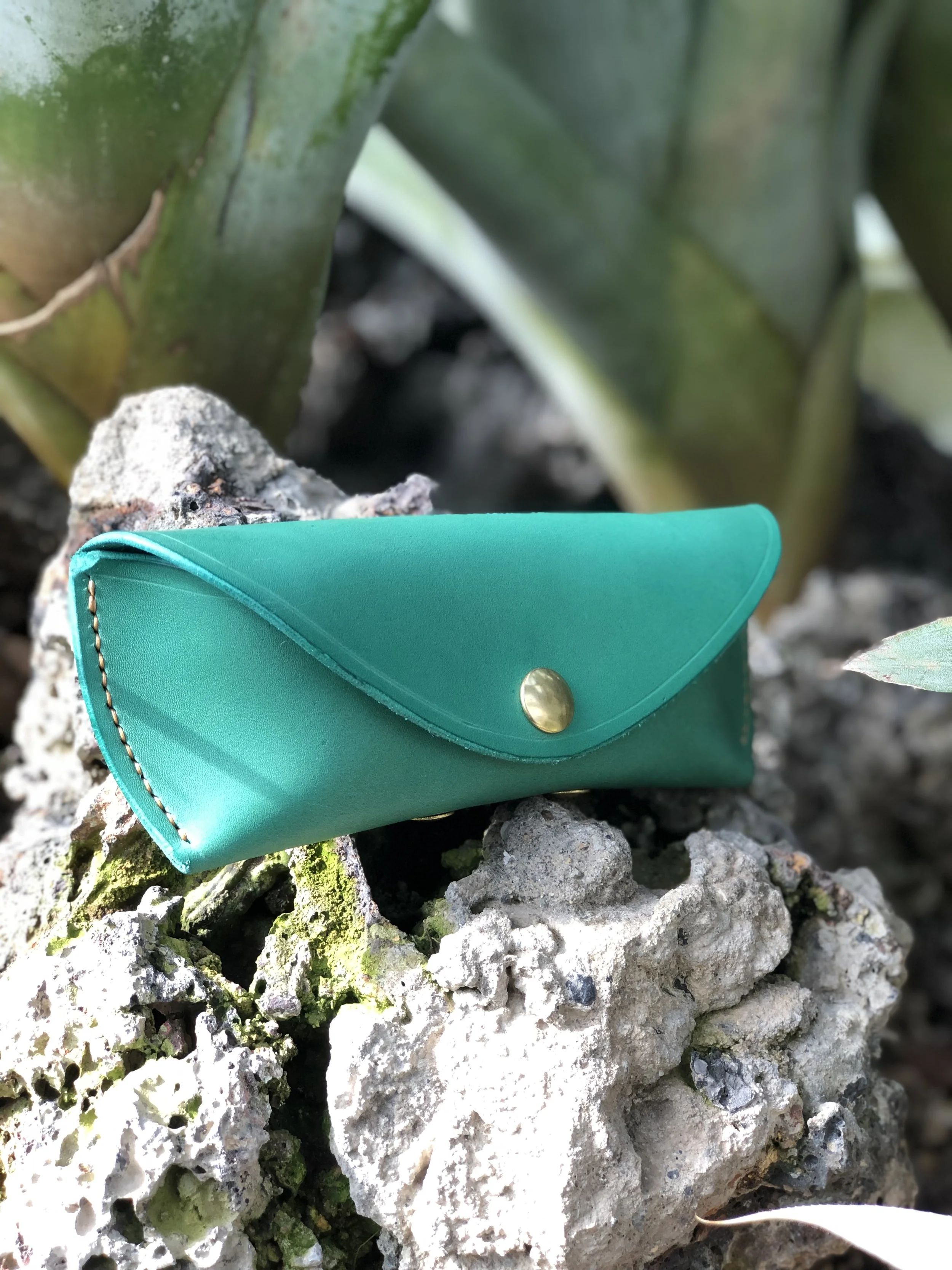 *Limited edition* Green specs case