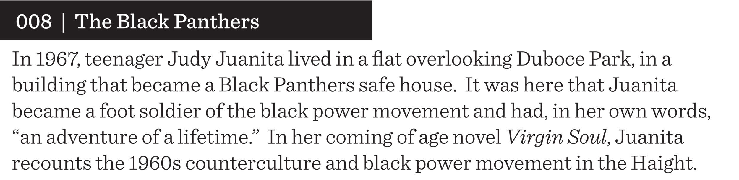 008 the black panthers.png